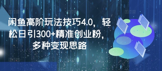 闲鱼高阶玩法技巧4.0，轻松日引300+精准创业粉，多种变现思路 - 网赚资源网-网赚资源网