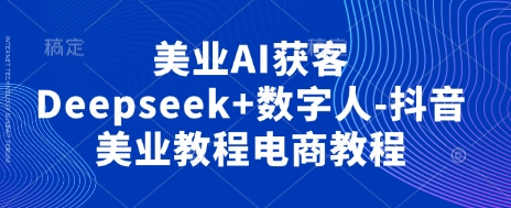 美业AI获客Deepseek+数字人-抖音美业教程电商教程 - 网赚资源网-网赚资源网